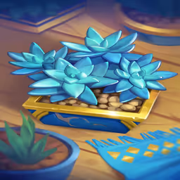 Succulents
